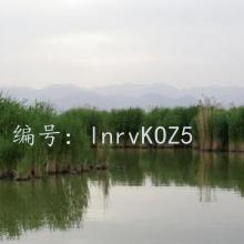 α