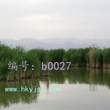 Զ