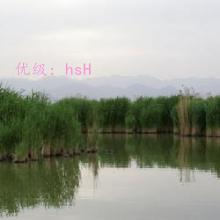 Բ