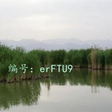 Բ