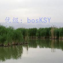 Ȼ